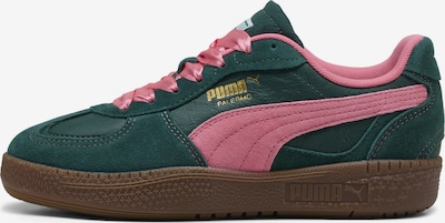 PUMA Tenisky 'Palermo Moda' - zelená / fialová, Produkt