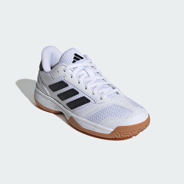 Chaussure de sport 'Ligra 8' ADIDAS PERFORMANCE en blanc
