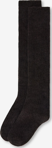 CALZEDONIA Socks in Brown: front