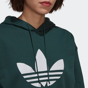 ADIDAS ORIGINALS Sweatshirt 'Adicolor Trefoil' in Groen