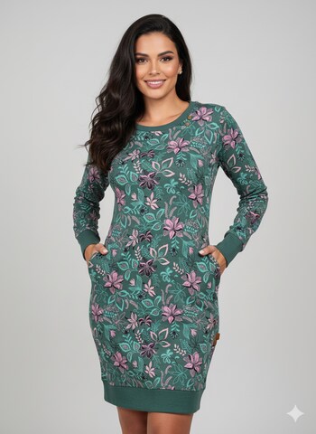 Ragwear Dress in Green: front