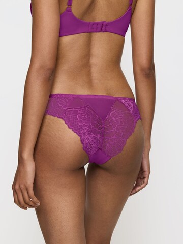 TRIUMPH Slip in Purple