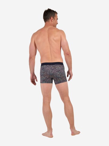 Boxers ' Vineyard ' HOM en bleu