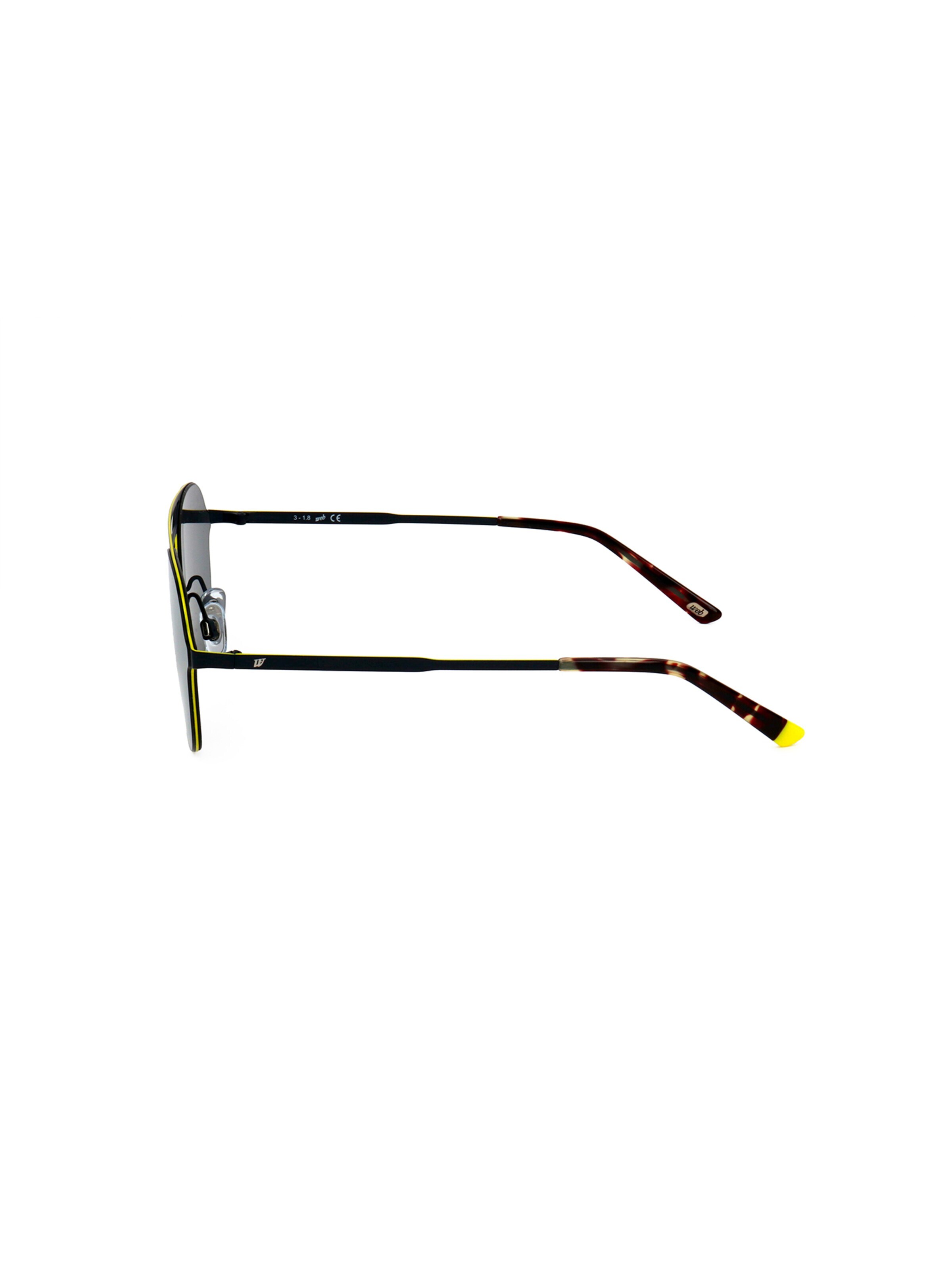 Occhiali da sole 'WE0248' di Web Eyewear in marrone