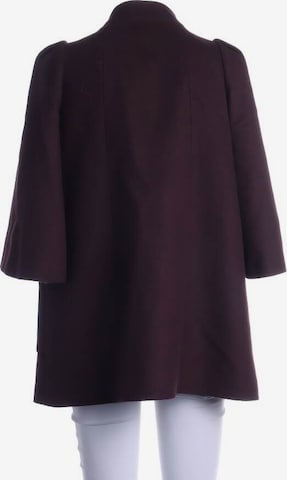 Tara Jarmon Jacket & Coat in S in Purple