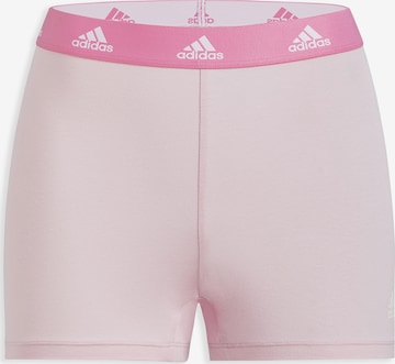 Culotte ' Sport Active Comfort Cotton ' ADIDAS SPORTSWEAR en rose : devant