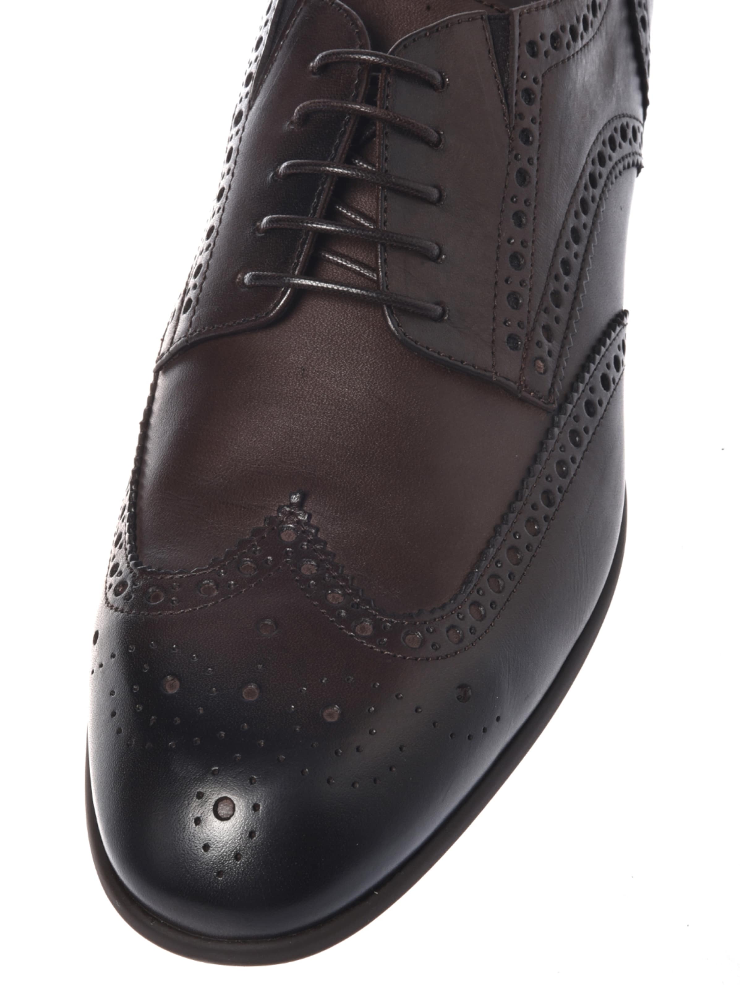 Chaussure à lacets BALDININI en marron