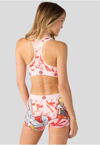 PSD Kalhotky 'LOONEY' – mix barev