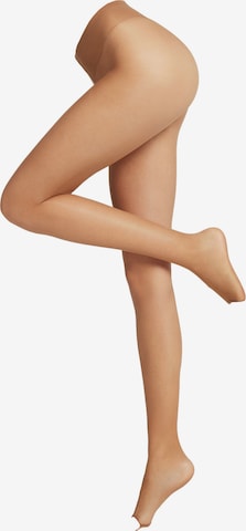 CALZEDONIA Fine Tights in Brown: front