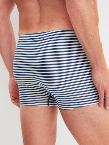CALIDA Boxer shorts 'Grafic Cotton' in Grey