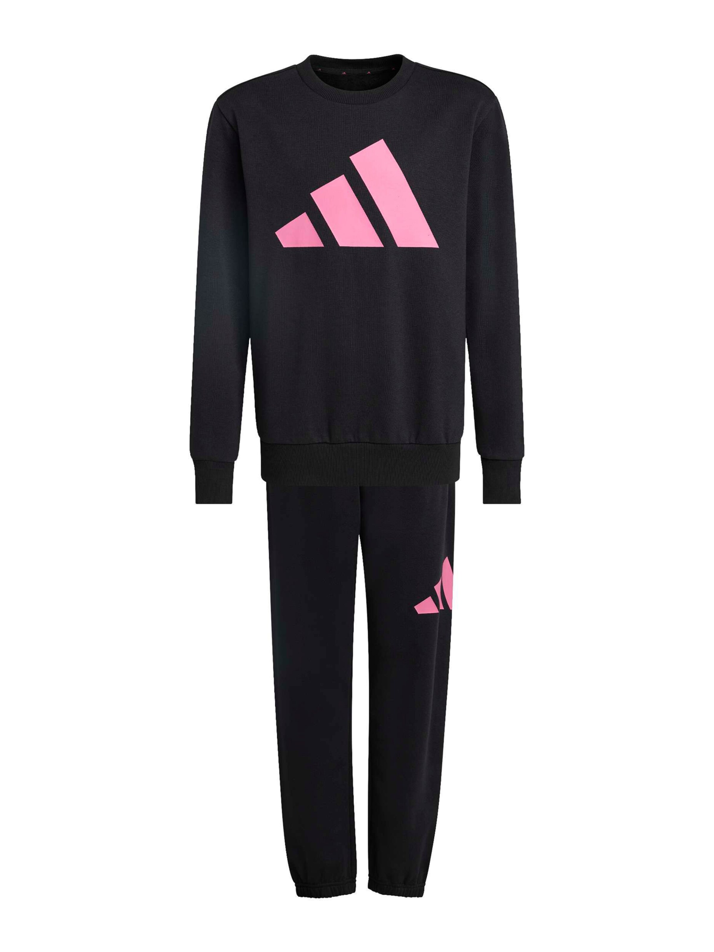 ADIDAS SPORTSWEAR Тренировочный костюм в Черный: спереди