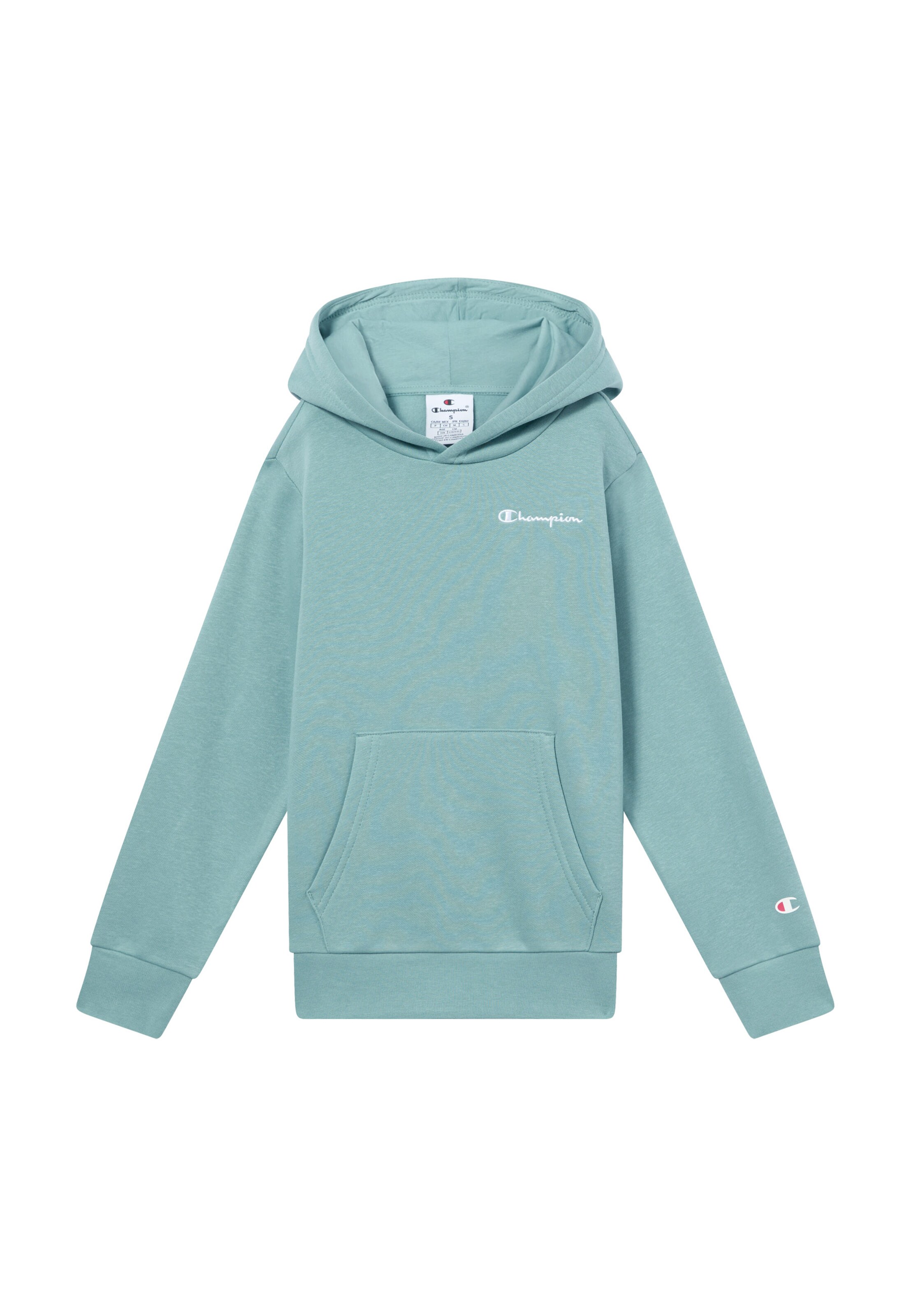 Champion Authentic Athletic Apparel Sweatshirt in Green: front