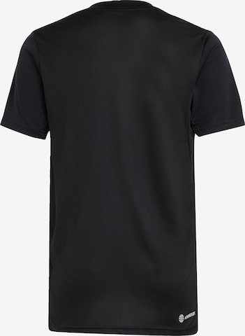 ADIDAS SPORTSWEAR Funkcionalna majica 'Train Essentials Aeroready Logo -Fit' | črna barva