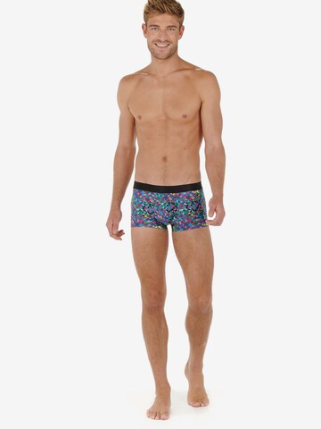 HOM Boxer shorts 'Sergio' in Mixed colors