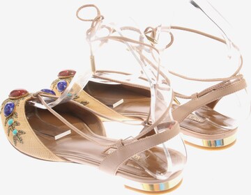 Aquazzura Flats & Loafers in 36 in Mixed colors: front