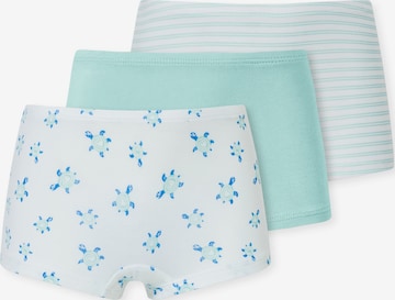 SCHIESSER Panty in Grün: Vorderseite