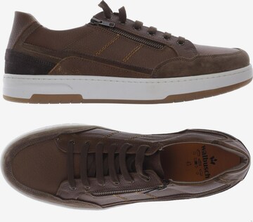 Walbusch Sneakers & Trainers in 45 in Brown: front