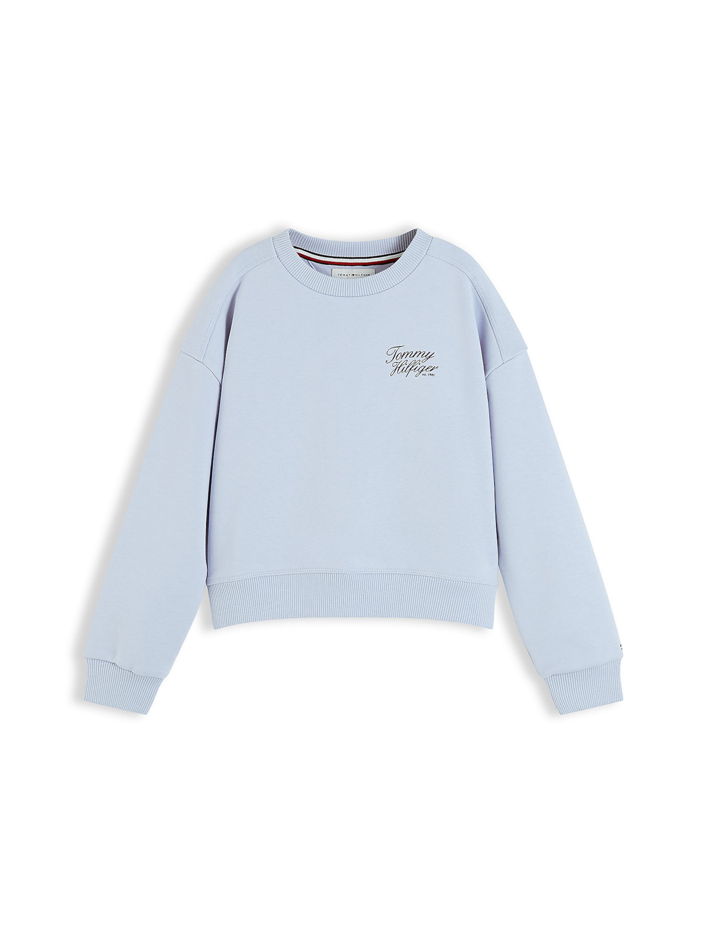 TOMMY HILFIGER - Sudadera en azul: frente