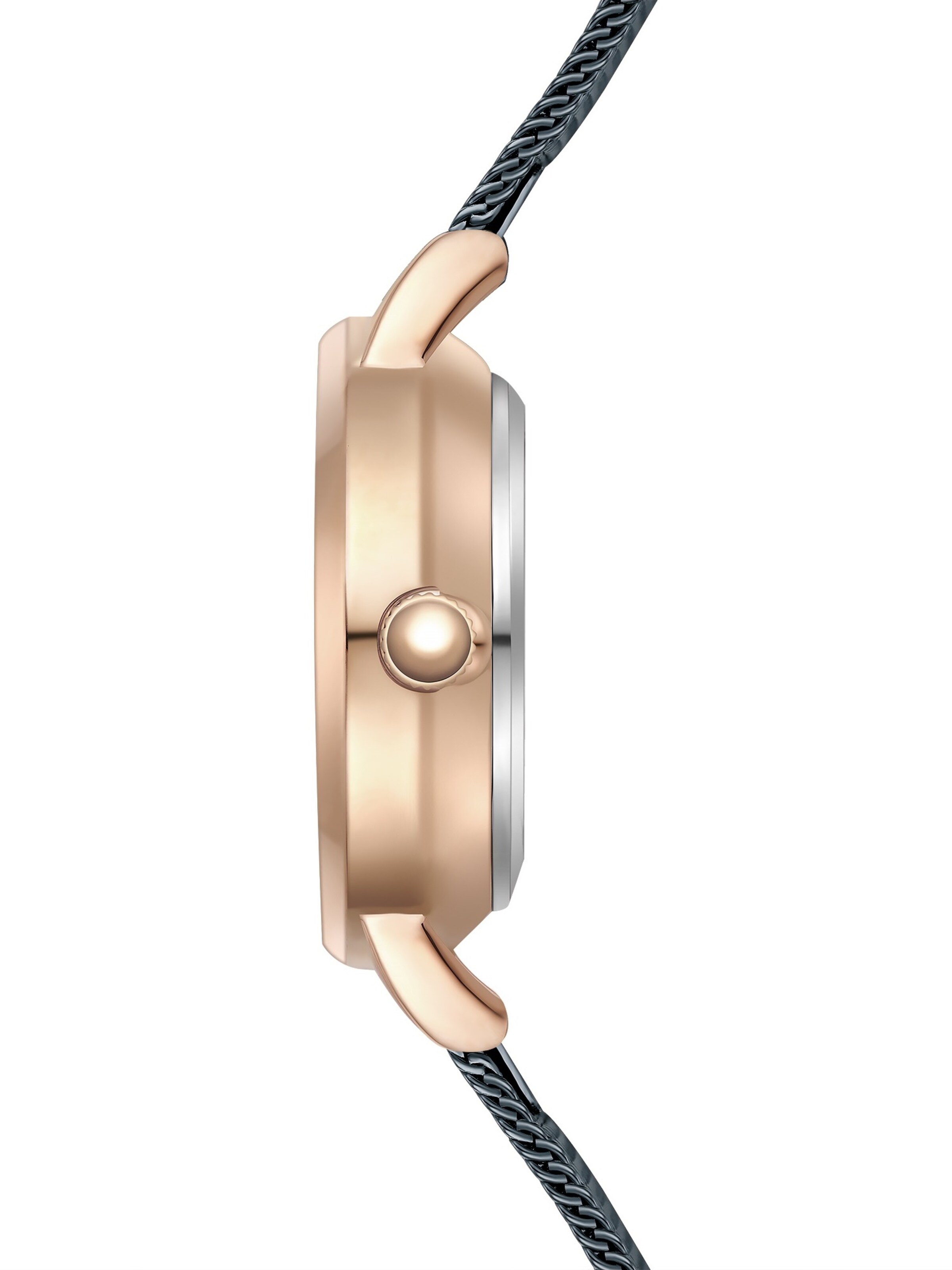 Eastside Analog Watch in Blue