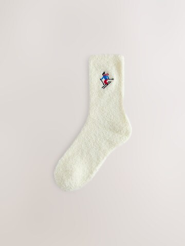 Next Socks in Beige