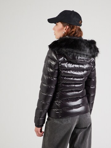 Tommy Jeans Winter jacket in Black