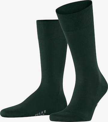 FALKE Socken 'Cool 24/7' in Grün: Vorderseite