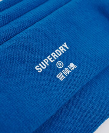 Chaussettes Superdry en bleu