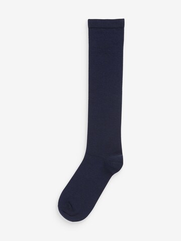 Gambaletto di Next in blu