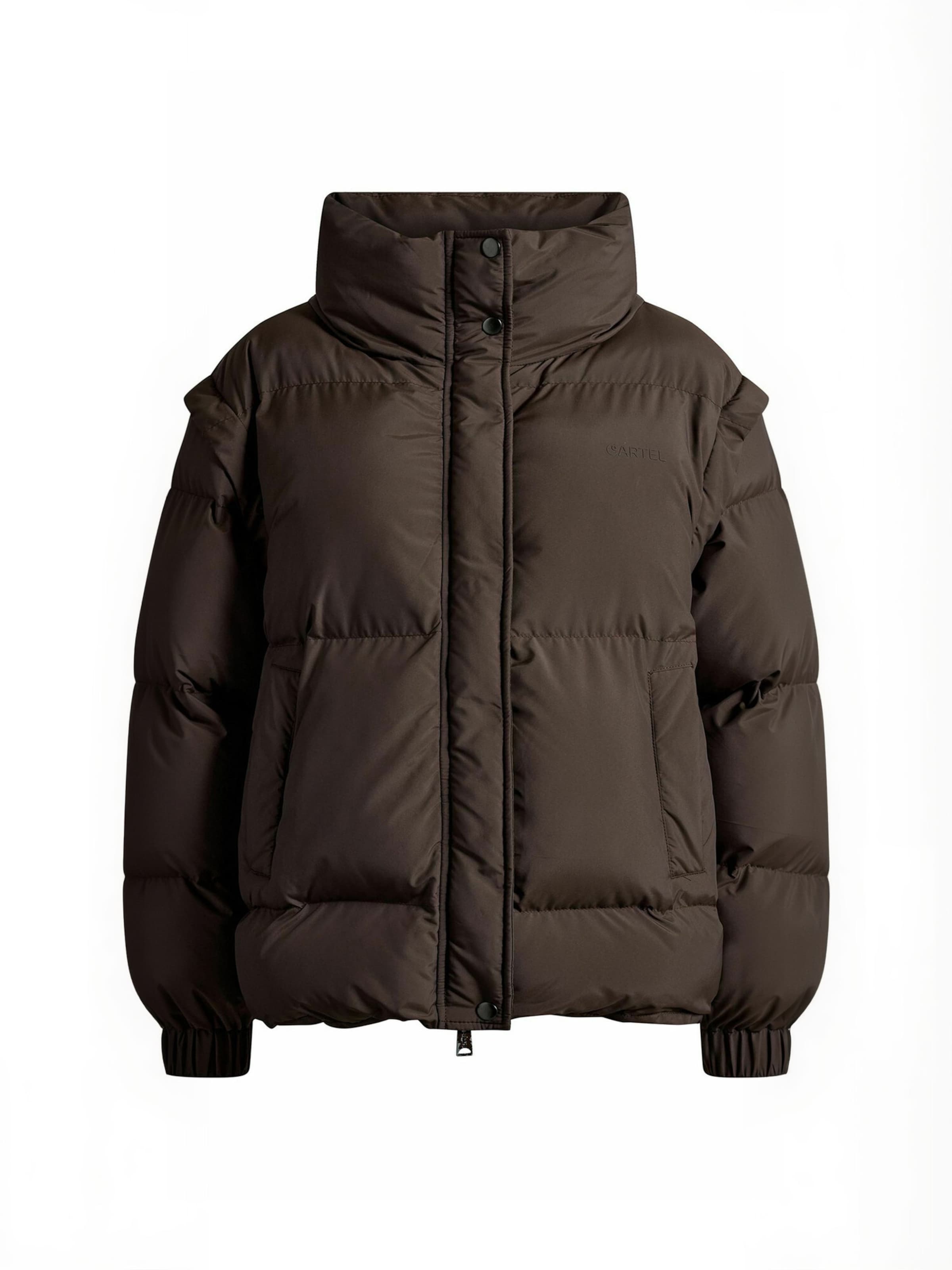 Cartel Copenhagen Winter jacket ' Alpine ' in Braun: Vorderseite
