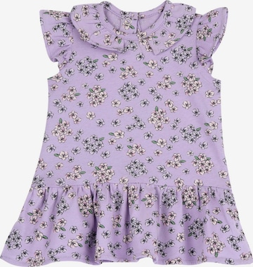 Chicco Mekko värissä lila: etupuoli