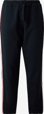 mėlyna Tommy Hilfiger Underwear Siaurėjantis Kelnės: priekis