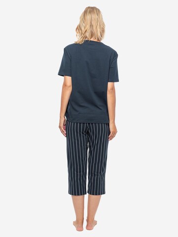 SCHIESSER Pyjama 'Organic Cotton' in Blau