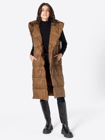 JNBY Vest in Brown: front