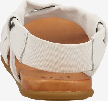 ILC Sandals in White