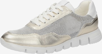 Baskets basses SIOUX en or : devant