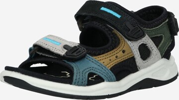 ECCO Sandals & Slippers 'Trinsic' in Black: front