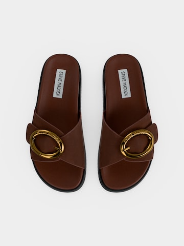Mule 'Mistify' STEVE MADDEN en marron