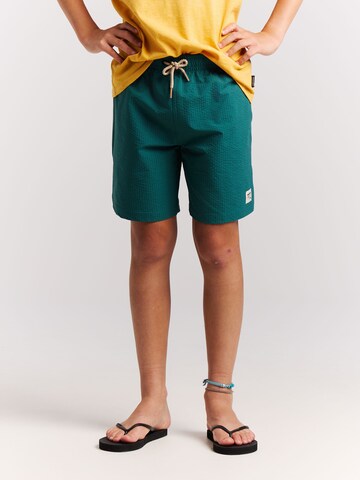 PROTEST Swimming shorts 'PRTYate JR' in Green