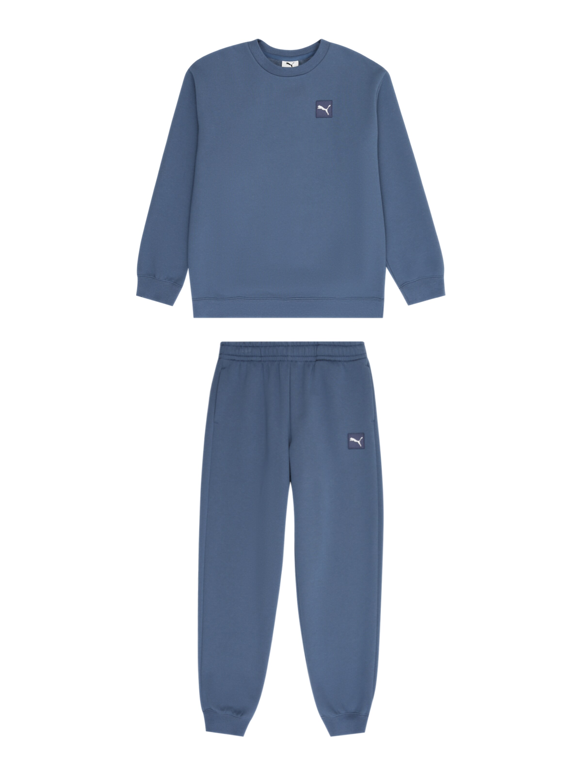 PUMA Sweatsuit 'ESS' in Blue: front