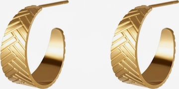 Cala Rose Oorbellen 'STELLA' in Goud: voorkant