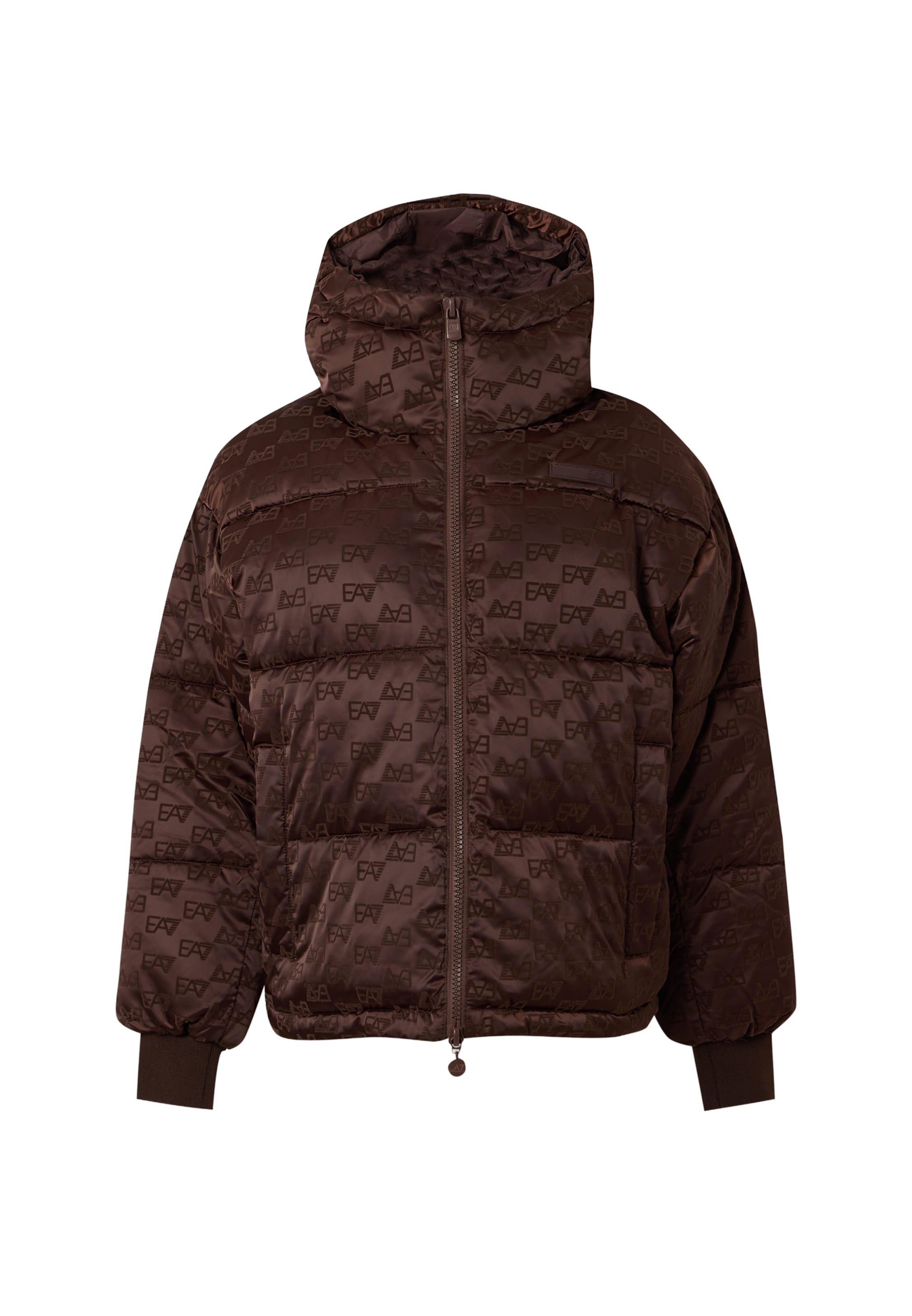 EA7 Emporio Armani Winter jacket in Brown: front