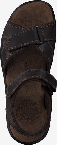 PANAMA JACK Sandalen 'Sanders Basics C1' in Bruin