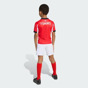 ADIDAS PERFORMANCE Trainingspak 'Benfica Lissabon 25/26' in Rood