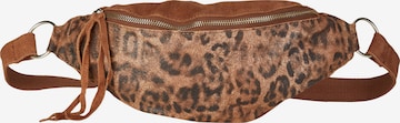 Curuba Fanny Pack 'Flagstaff' in Brown: front