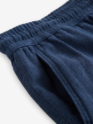 Next Regular Trousers in Blue