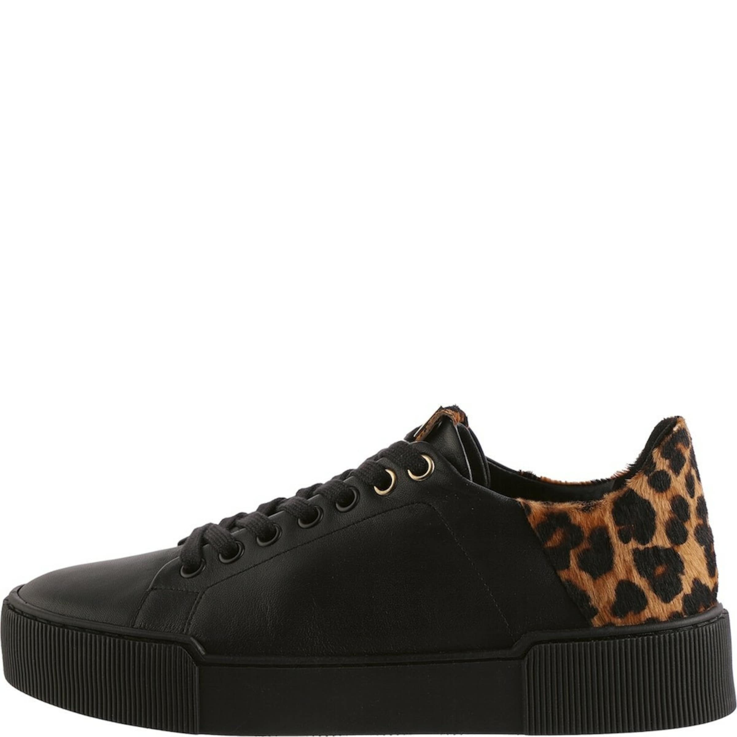 Högl Sneaker in Schwarz: Vorderseite