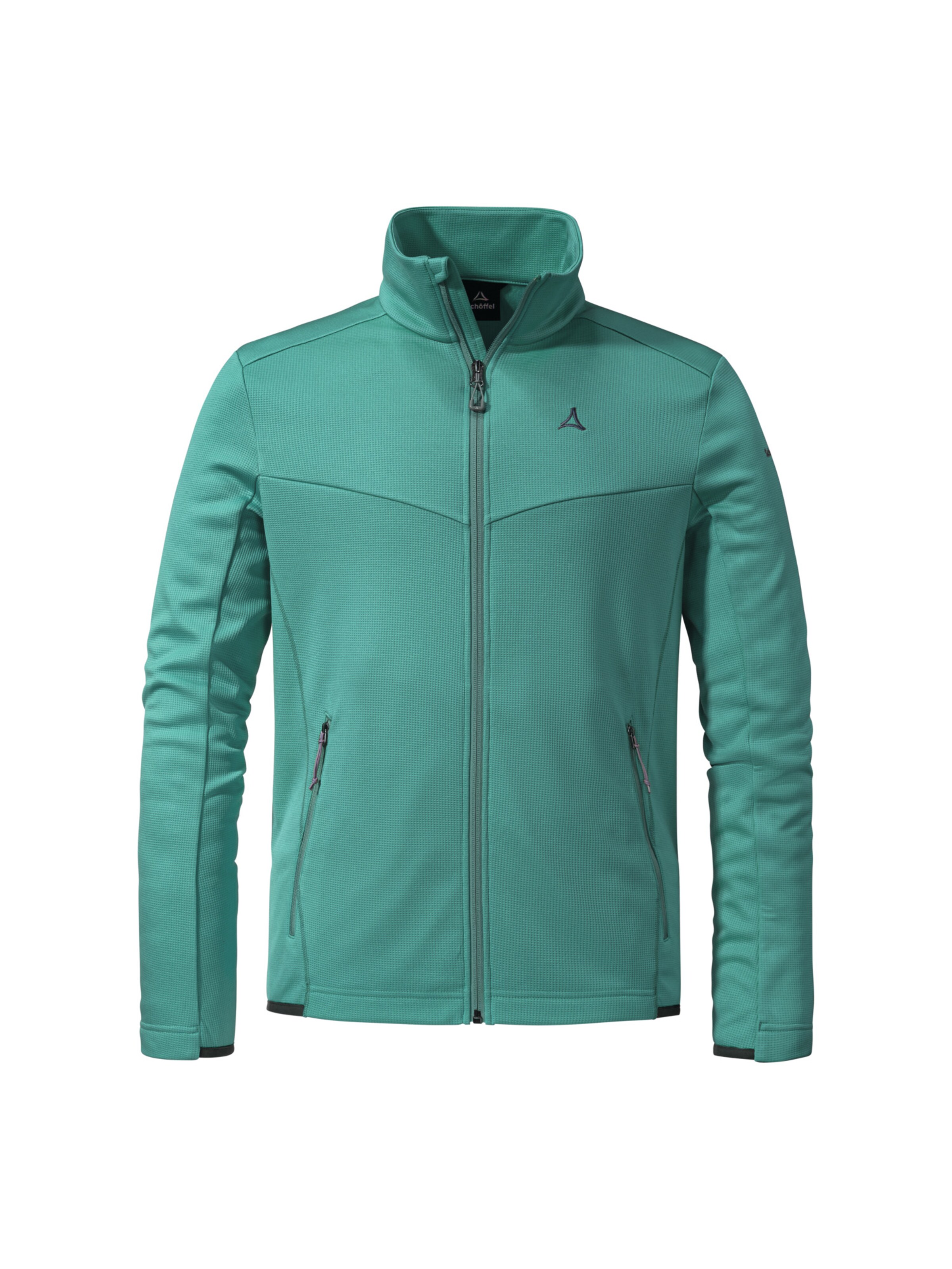 Schöffel Funktionsfleecejacke 'Bleckwand' in Grün: Vorderseite