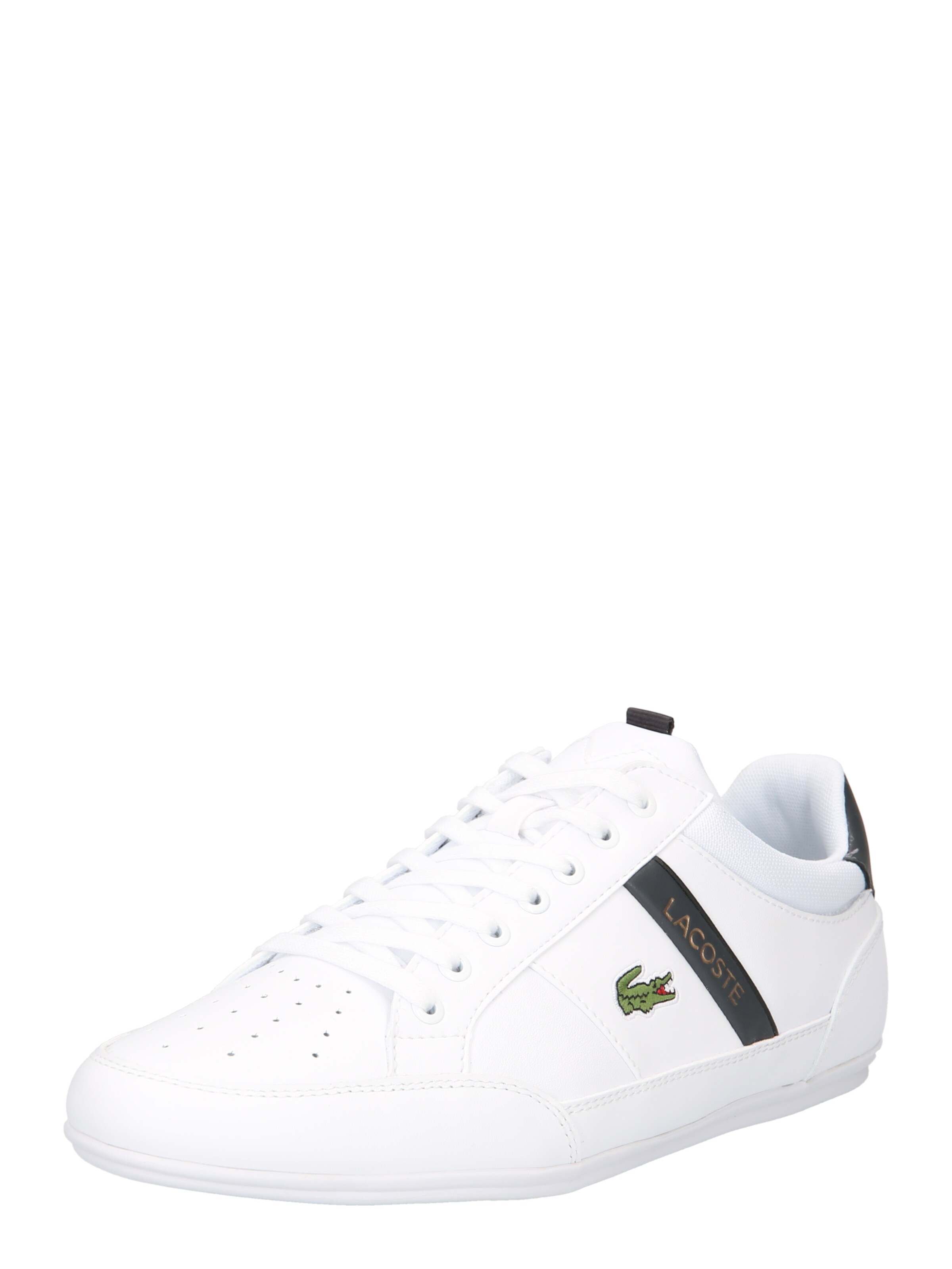 Scarpe da uomo Lacoste Lacci a prezzi convenienti in vendita online |  Gulliver Moda