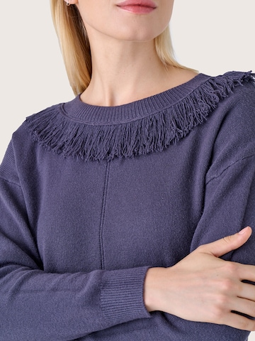 Camomilla Pullover 'MELODY' in Lila: Vorderseite