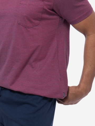 Ammann Pyjama kurz 'Night & Home Cotton' in Mischfarben